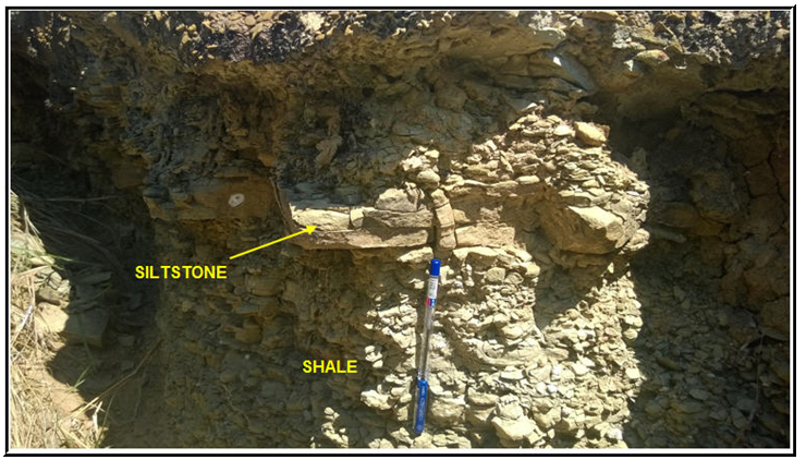 Karoo outcrops, Olive greenish grey shale exposed at Fuga hill and Kidahi area Karoo outcrops, Olive greenish grey shale exposed at Fuga hill and Kidahi area